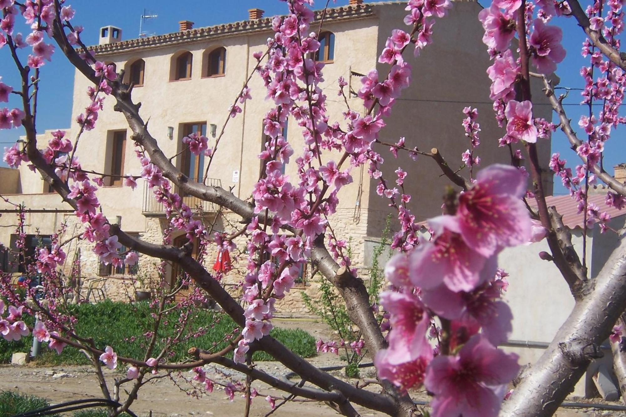 Mas Taniet Hotel Rural Benissanet ภายนอก รูปภาพ